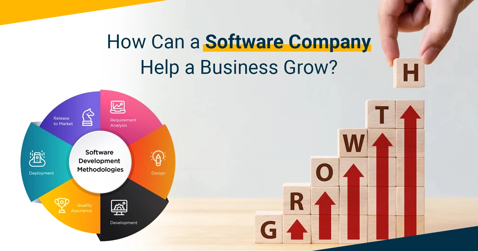 How Can a Software Company Help a Business Grow?